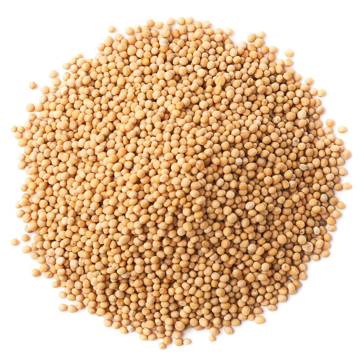 RB brown mustand beans
